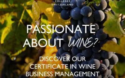 Станете експерт в лозаро-винарския бизнес с 10-седмичен курс