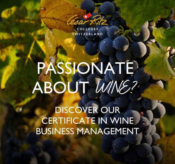 Станете експерт в лозаро-винарския бизнес с 10-седмичен курс