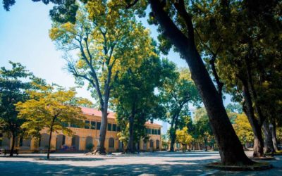 Италианските университети са сред най-зелените и екологични в света